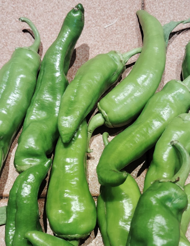 Pimiento freír (500 gr.) CC