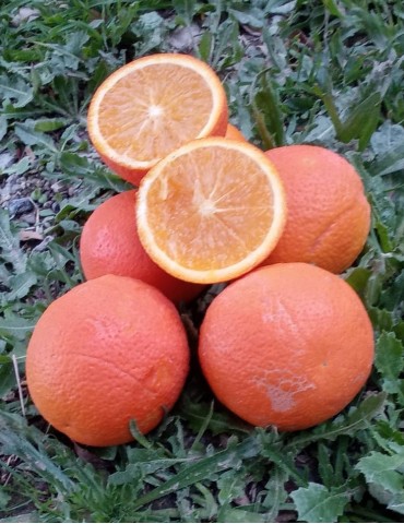Naranja zumo