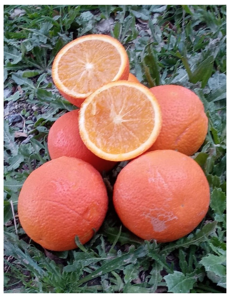 Naranja zumo