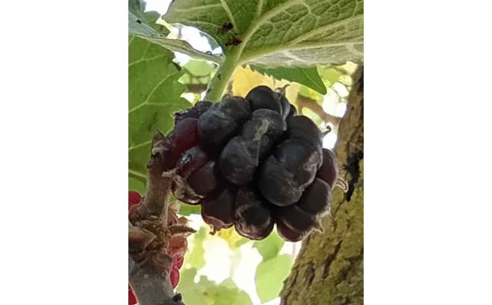 Productos disponibles para recogida 02/07/2025