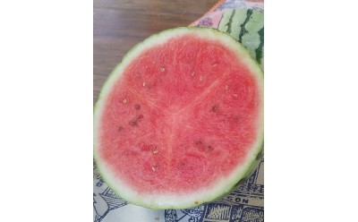 Tiempo de verano. Seguimos trabajando