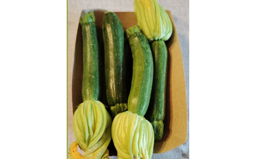 Productos disponibles para pedidos 10 a 13 de julio