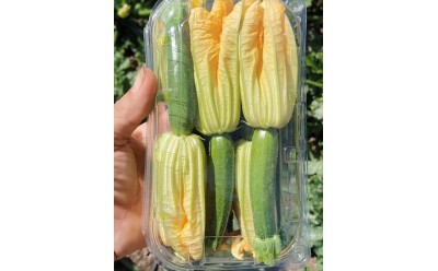 Productos disponibles para pedidos desde 23 de julio