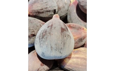 Empieza la temporada de higos y... productos disponibles