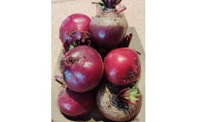 Regalo remolacha mini y receta para cocinarlas