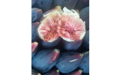 Productos disponibles para pedidos hasta el 17/08