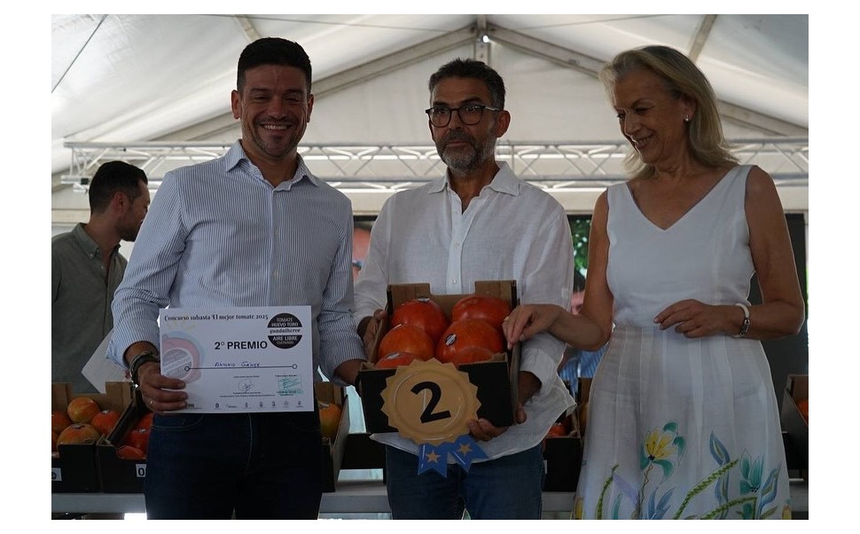 2º premio en el Concurso de Tomate Huevo de Toro