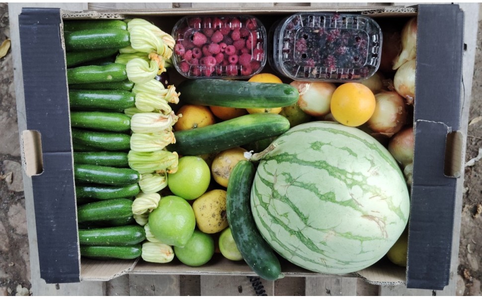 Productos disponibles para pedidos hasta el 24/08