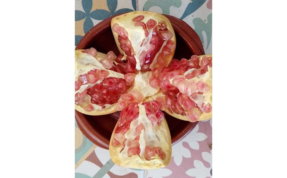 Productos disponibles para pedidos hasta el 28/09